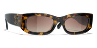 #colour_tortoise-brown-gradient-polarised