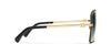 #colour_pale-gold-grey-gradient-polarised