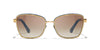 #colour_amber-gold-brown-gradient-polarised