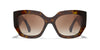 #colour_dark-havana-brown-gradient