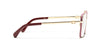 #colour_pale-gold-red