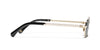 #colour_pale-gold-grey-gradient-polarised