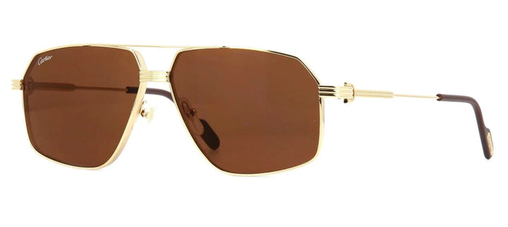 Cartier CT0270S Square Sunglasses | Fashion Eyewear US