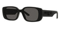 Dior Wildior S2U