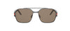#colour_animal-brown