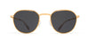 #colour_glossy-gold-dark-grey-solid