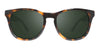 #colour_shiny-tortoise-smoky-green-polarised