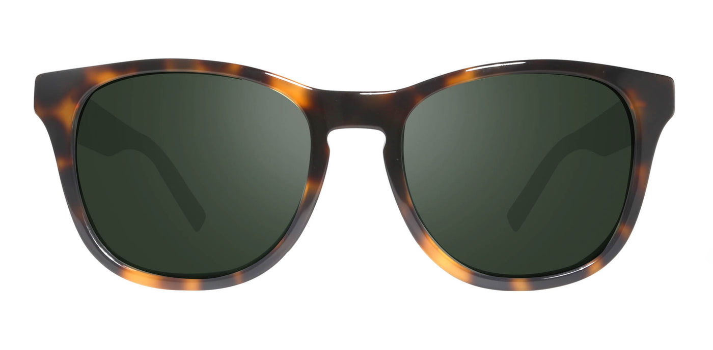 #colour_shiny-tortoise-smoky-green-polarised