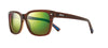 #colour_shiny-brown-evergreen-polarised