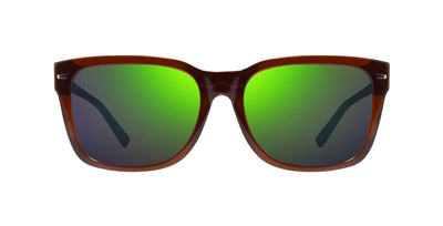 #colour_shiny-brown-evergreen-polarised
