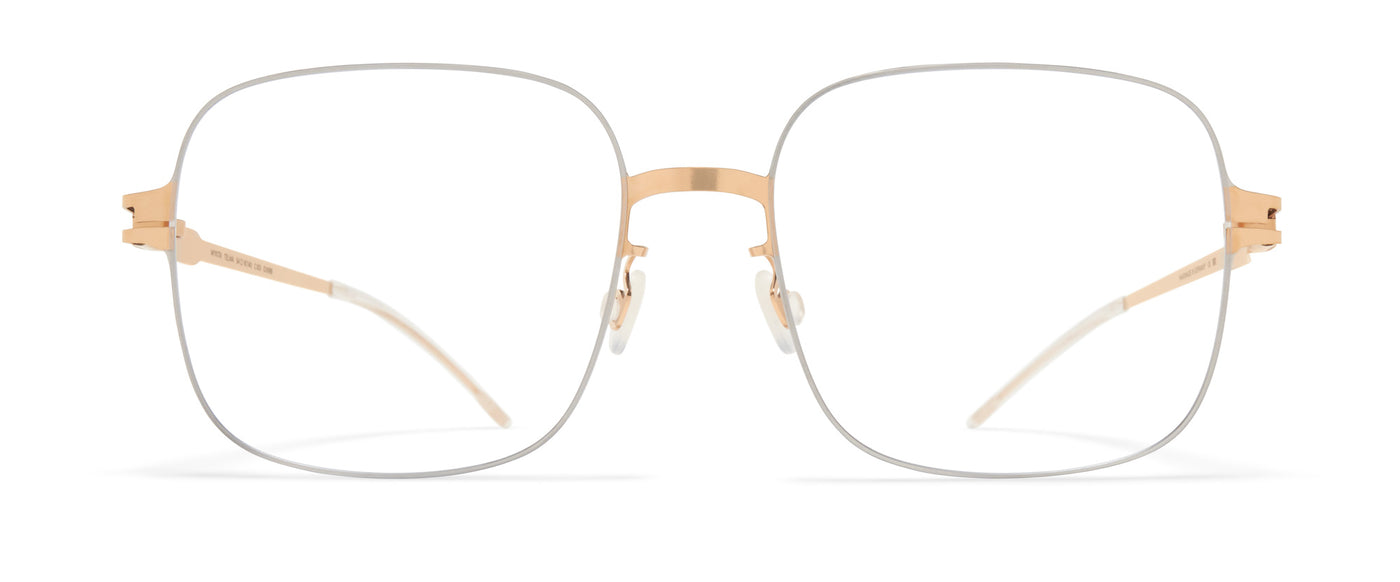 #colour_silver-champagne-gold