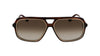 #colour_brown-horn-brown-gradient