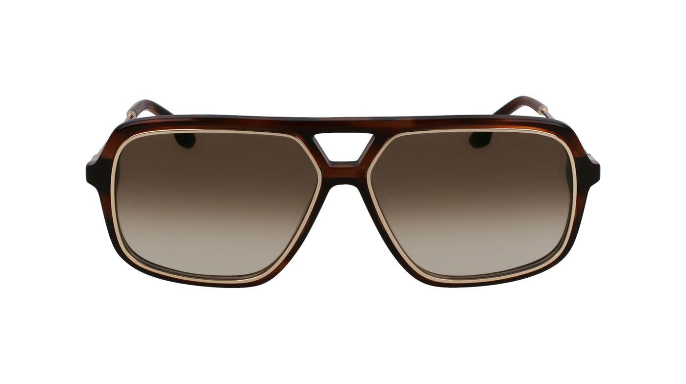 #colour_brown-horn-brown-gradient