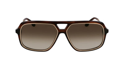 #colour_brown-horn-brown-gradient