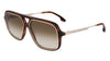 #colour_brown-horn-brown-gradient