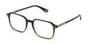 #colour_shiny-striped-brown