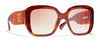 #colour_tortoise-light-brown-gradient