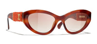 #colour_tortoise-light-brown-gradient