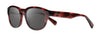 #colour_shiny-red-tortoise-graphite-polarised