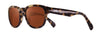 #colour_grey-tortoise-drive-polarised