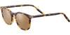 #colour_shiny-classic-havana-mineral-drivers-polarised