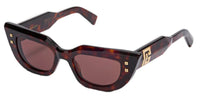 #colour_dark-havana-brown