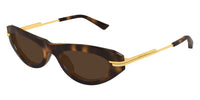 Bottega Veneta BV1368S #colour_shiny havana with gold/brown