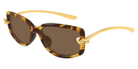 #colour_shiny-havana-gold-brown