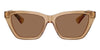 #colour_brown