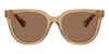 #colour_brown