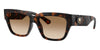 #colour_dark-havana-brown-gradient