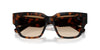 #colour_dark-havana-brown-gradient