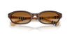 #colour_brown-brown-gradient