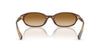 #colour_brown-brown-gradient