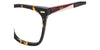 #colour_tortoise