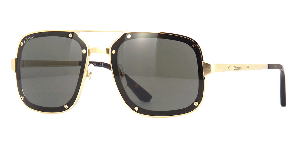 Cartier CT0194S#colour_gold-grey