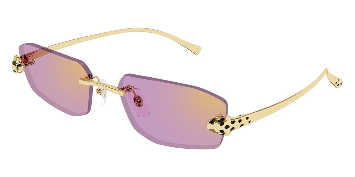Cartier CT0474S Rectangle Sunglasses | Fashion Eyewear