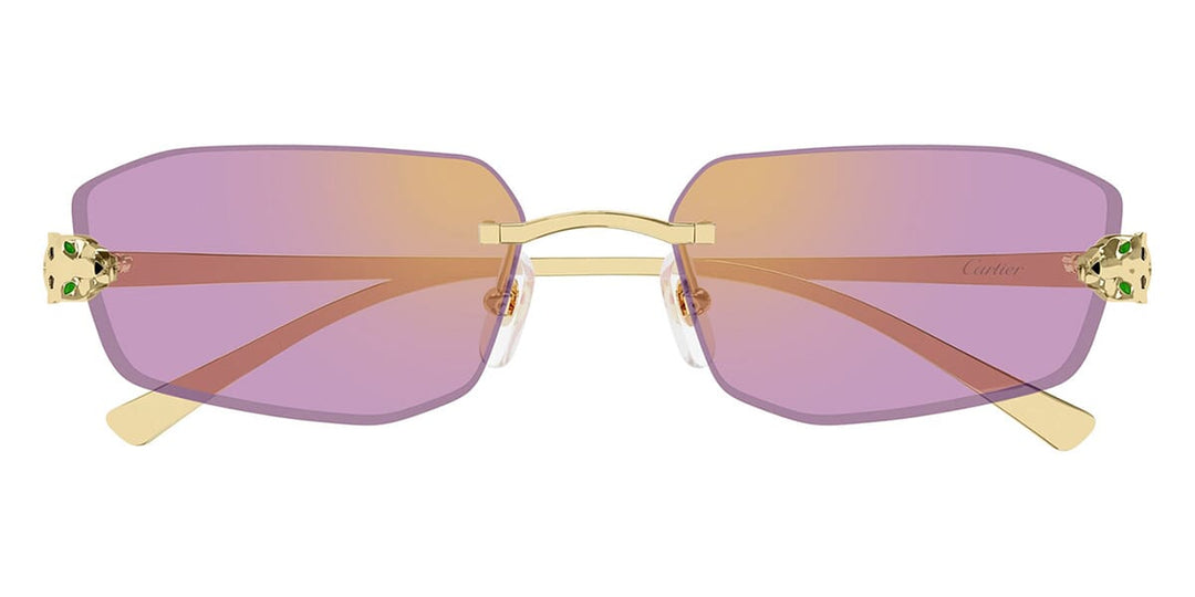 Cartier CT0474S Rectangle Sunglasses | Fashion Eyewear