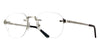 Cartier CT0478O #colour_shiny silver