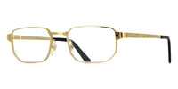 Cartier CT0481O #colour_shiny gold