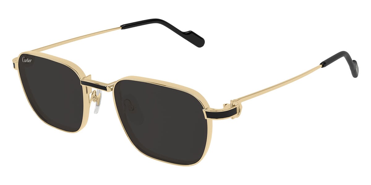 Cartier CT0497S Square Sunglasses | Fashion Eyewear US