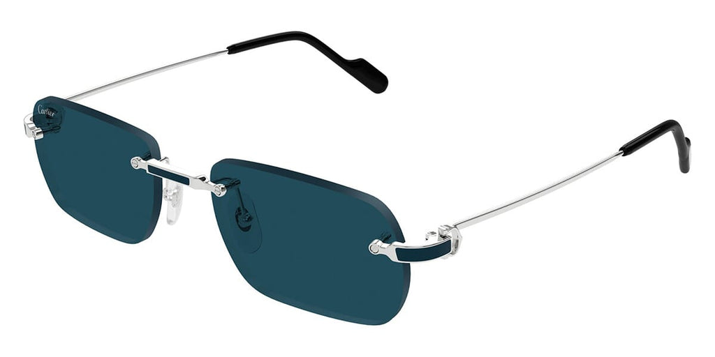 Cartier CT0498S Square Sunglasses | Fashion Eyewear US
