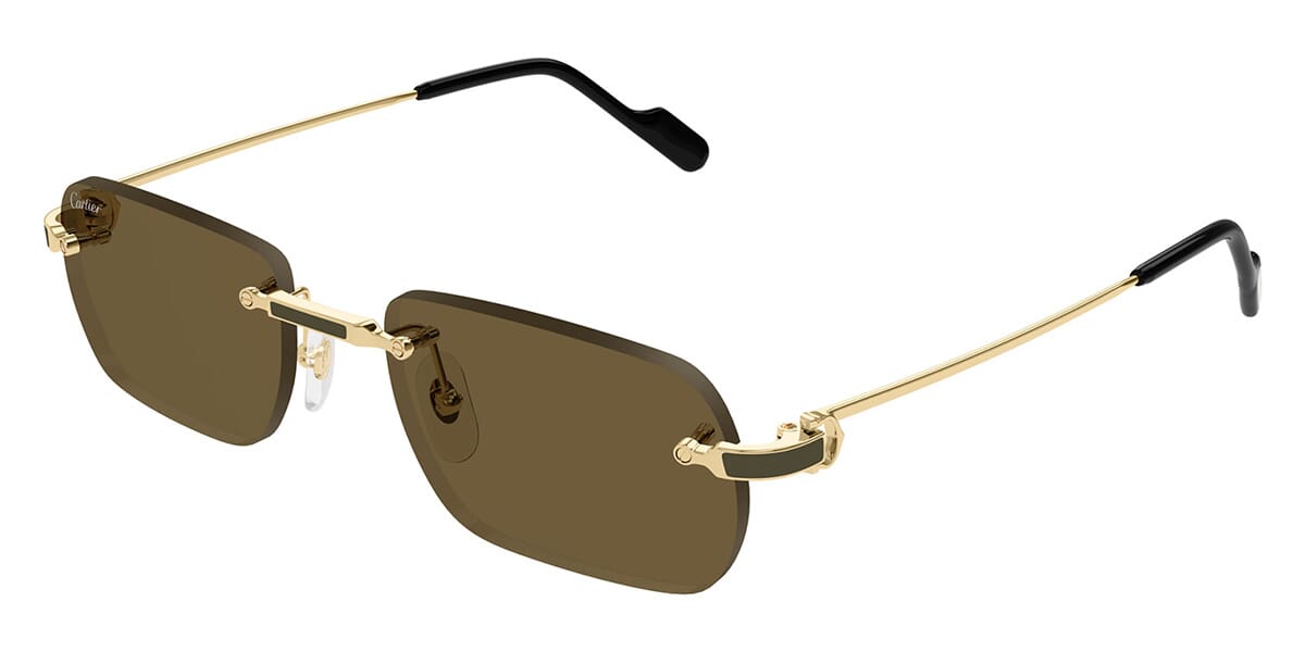 Cartier CT0498S Square Sunglasses | Fashion Eyewear US