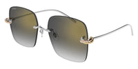 Cartier CT0508S #colour_silver/grey