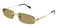 Cartier CT0535S #colour_gold/brown