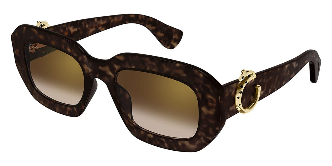 cartier-ct0546s-002-hd-1_1080x