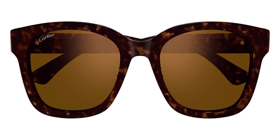 Cartier CT0589SA Square Sunglasses | Fashion Eyewear US