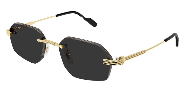 Cartier CT0616S Square Sunglasses | Fashion Eyewear US