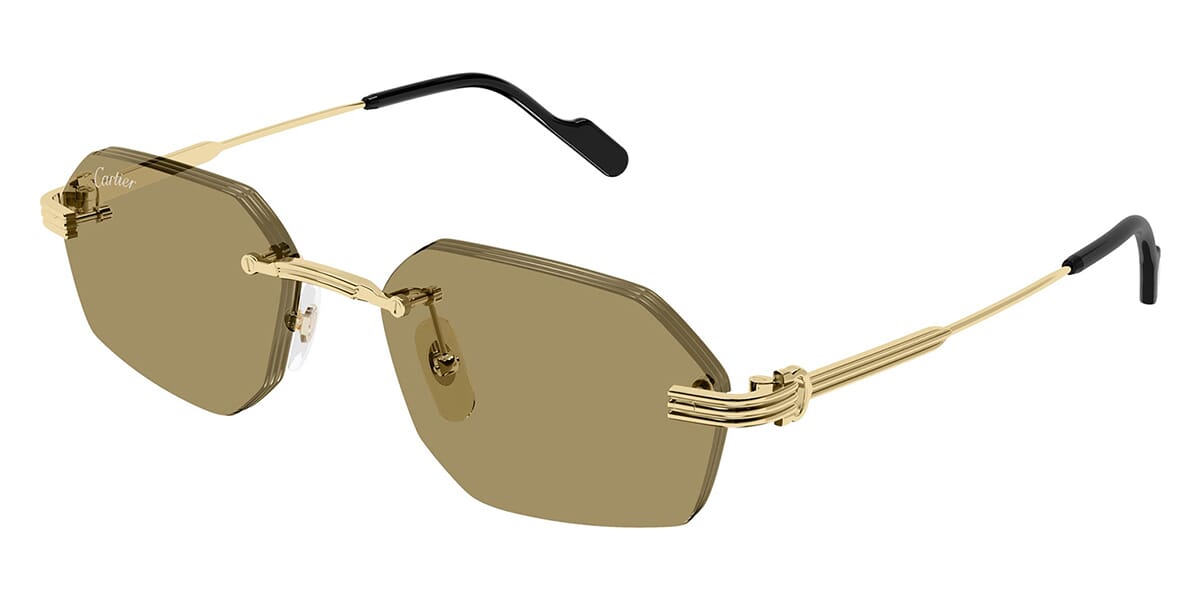 Cartier CT0616S Square Sunglasses | Fashion Eyewear US