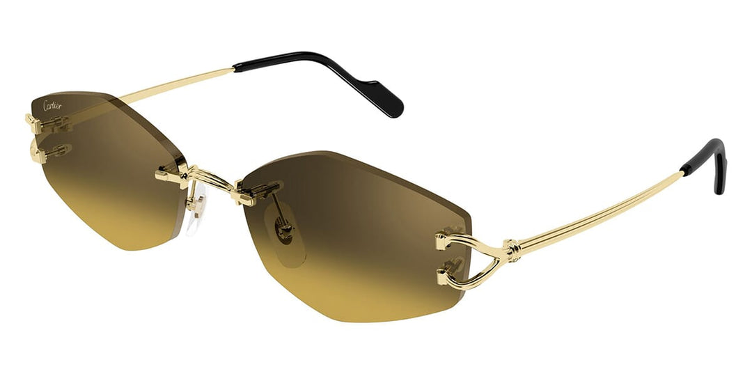 Cartier CT0620S Square Sunglasses | Fashion Eyewear